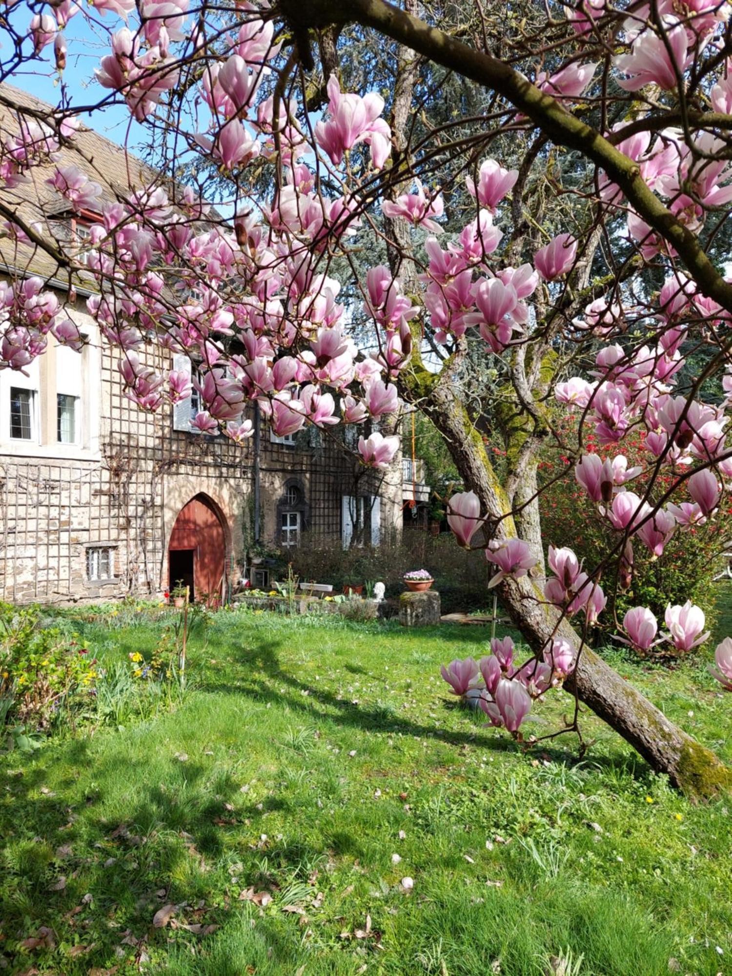 Pension Marienhof Гкоберн-Гондорф Экстерьер фото